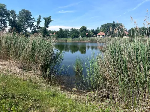 I. sz. bányató - Galéria kép