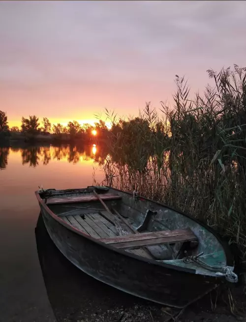 Király Ponty horgásztó - Galéria kép