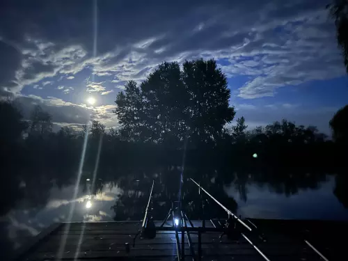 Peresi-holtág - Galéria kép