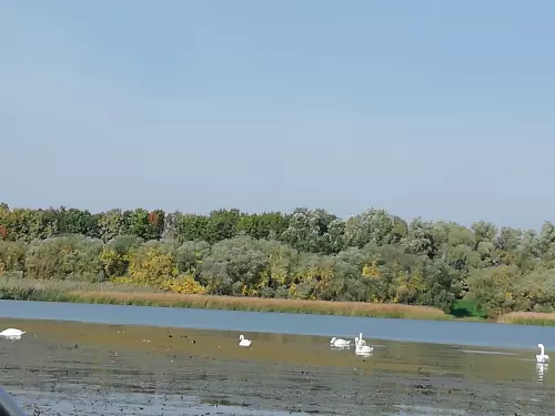 Poroszló horgászhelyek - Galéria kép