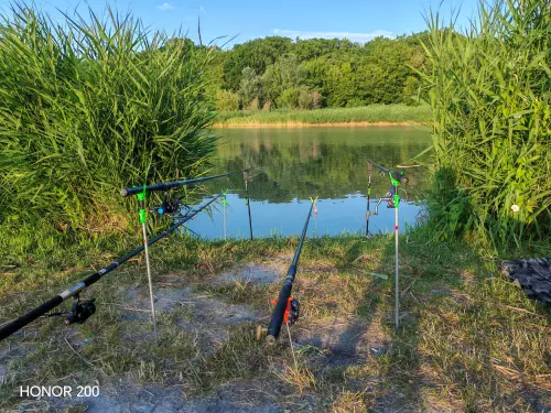 Bujtás-tó - Galéria kép