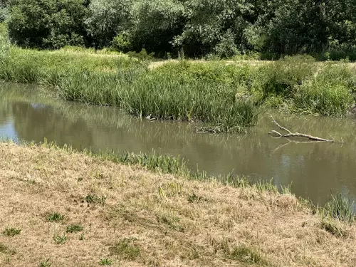 Bódva patak - Galéria kép