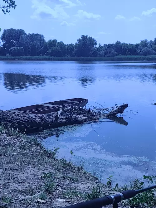 Tiszaalpári Holt-Tisza - Galéria kép