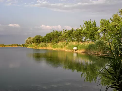 Horgászhely: Gerecz Elemér Horgásztó