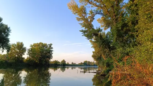 Horgászhely: Peresi-holtág