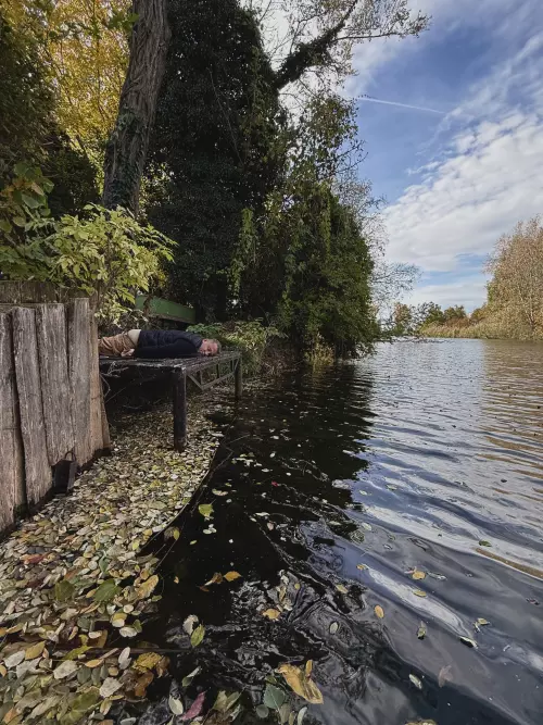 Dömsödi Árapasztó - Galéria kép