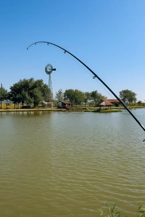 Gulya-tó - Galéria kép