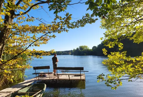 Széki tó - Galéria kép