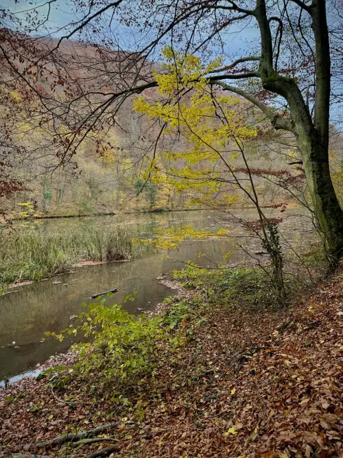 Hámori-tó - Galéria kép