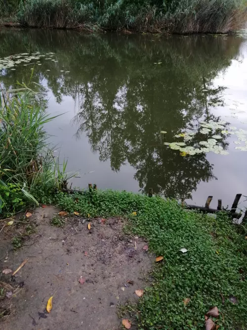 Kék tó - Galéria kép