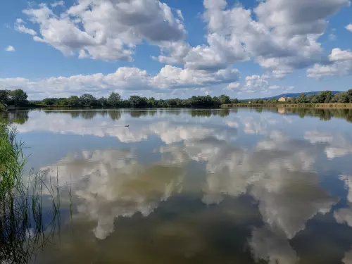 S2-es horgásztavak - Galéria kép