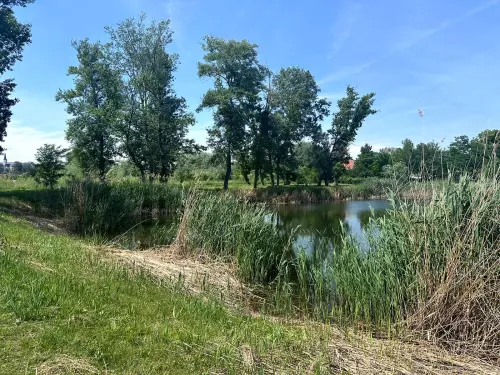 I. sz. bányató - Galéria kép