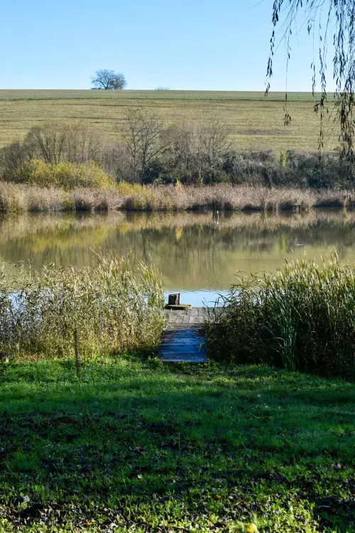 Ököritófülpös horgásztó - Galéria kép