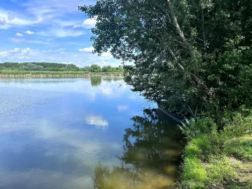 Tiszalúci Holt-Tisza - Galéria kép
