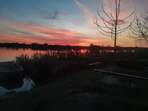 Gulya Carp Lake - Galéria kép