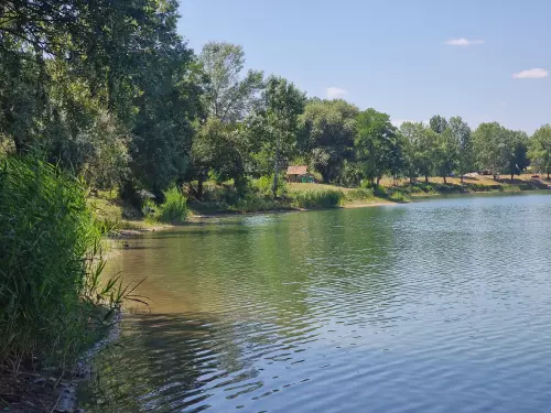 Dinasztia Horgászpark - Galéria kép