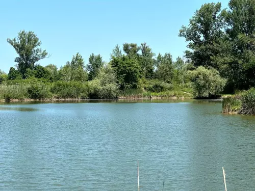 Sajószentpéteri I. II. III. tó - Galéria kép