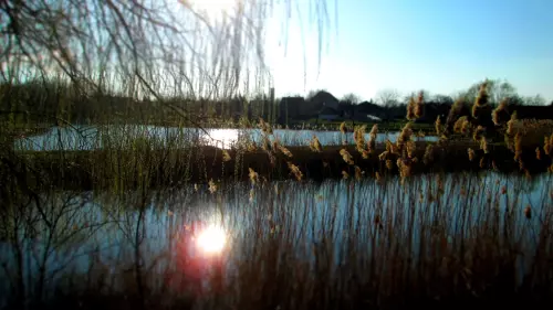 Horgászhely: Dancka horgásztó