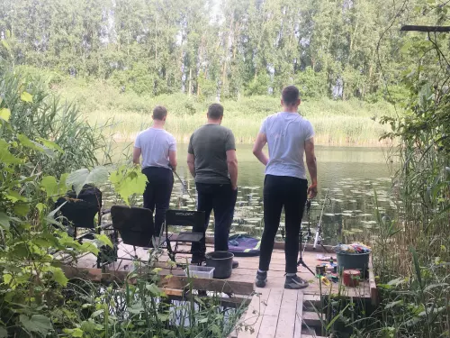 Ferenc-csatorna - Galéria kép