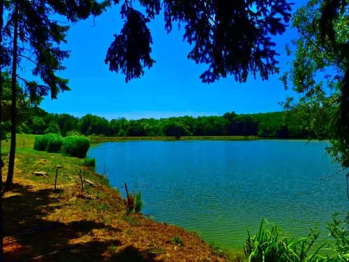 Zalaszentgyörgyi Tó horgászhely képe – Zalaszentgyörgy