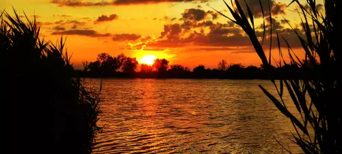 5-ös horgásztó - Galéria kép