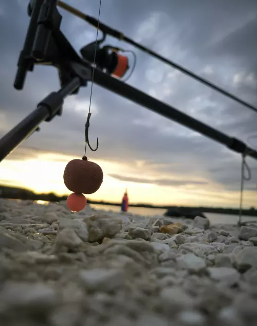 Arizóna Carp Lake - Galéria kép