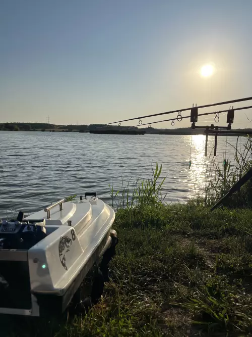 Reed Carp Lake - Galéria kép