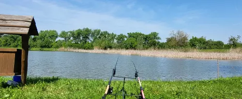 Cselek Horgásztanya - Galéria kép