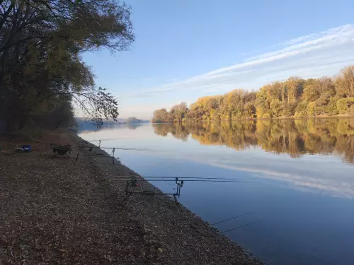 Duna–Neszmélyi holtág - Galéria kép