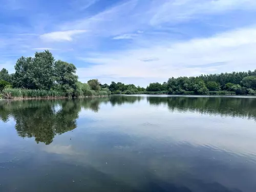 Tiszaladányi Holt-Tisza - Galéria kép