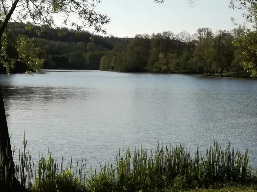 Mecsekpölöskei horgásztó - Galéria kép