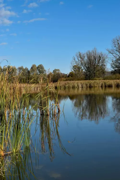 Horgászhely: Boldogasszonyfa Horgásztanya