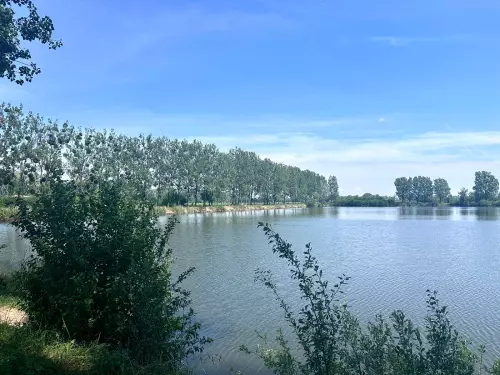 Csepel-tó - Galéria kép