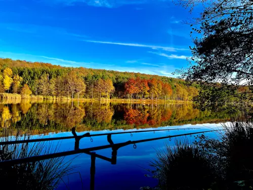 Horgászhely: Hársas-tó