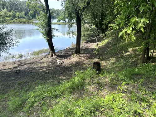 Csobaji-holtág/Kifli-tó - Galéria kép