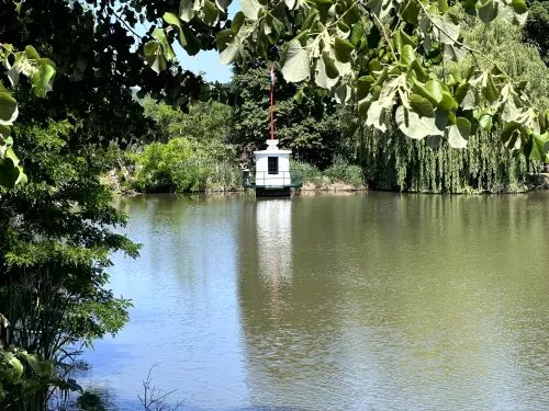 Felső tó - Galéria kép