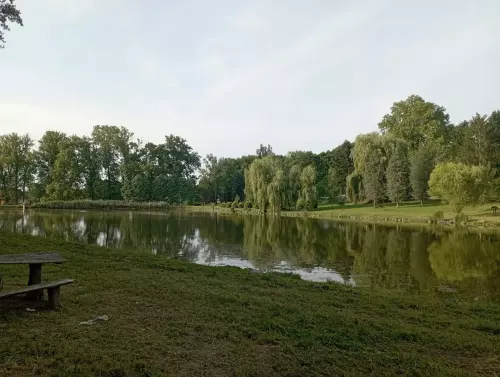 Horgászhely: Surdi parktó