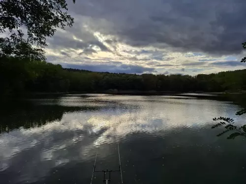 Acélgyári Horgásztó - Galéria kép