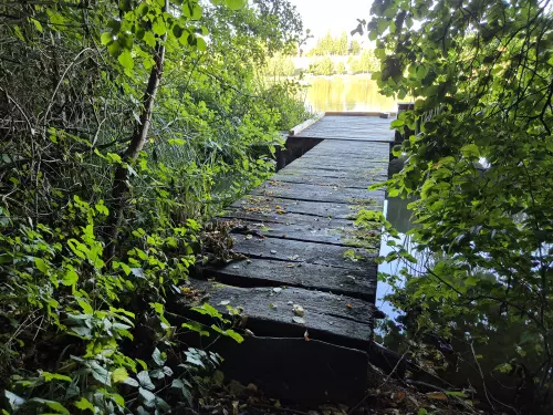 Borostyán-tó - Galéria kép