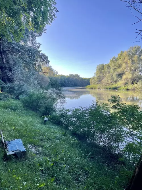 Kis-Tisza holtág - Galéria kép