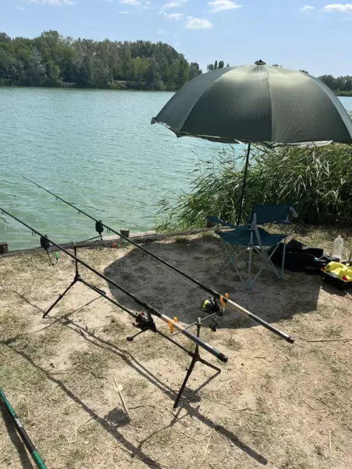 Carp Centrum - Galéria kép