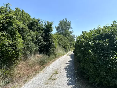 Berentei tó - Galéria kép