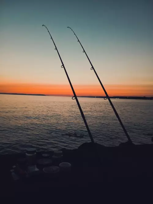 Balatonlellei partszakasz - Galéria kép