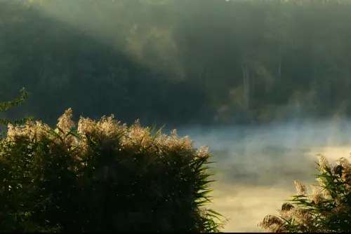 Fenyves-tó - Galéria kép