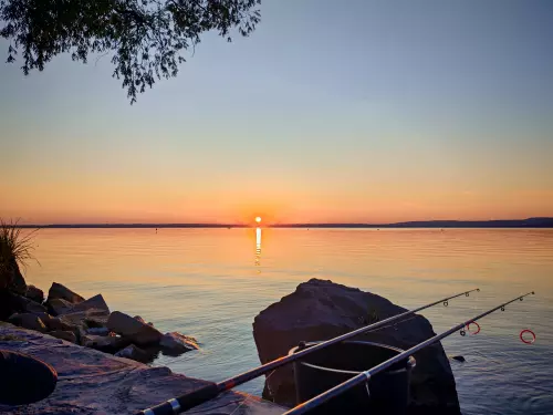 Horgászhely: Balatonberényi partszakasz