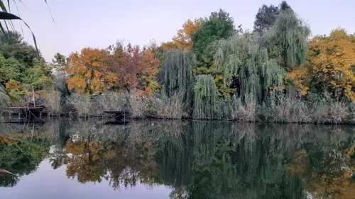 Horgászhely: Danzug-holtág