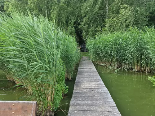 Diósjenői horgásztó - Galéria kép