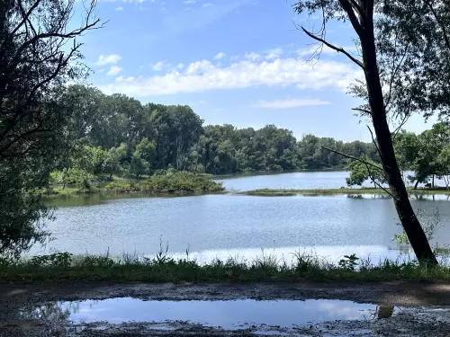 Csobaji-holtág/Kifli-tó - Galéria kép