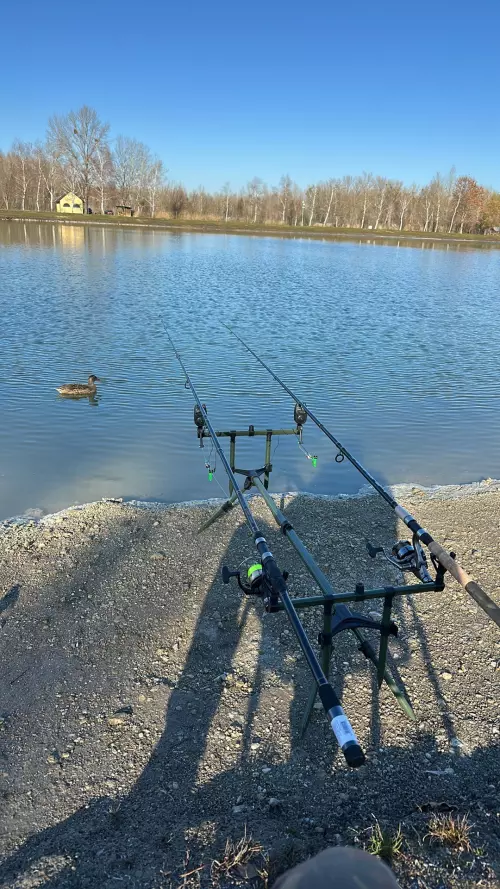 Torma Lake horgásztó - Galéria kép