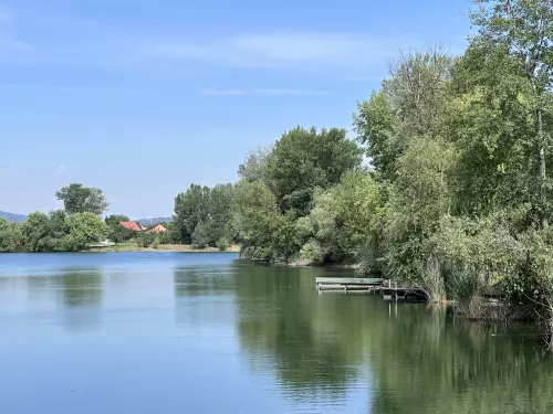 Fogd meg és engedd vissza? Mi az a Catch & Release (C&R)?